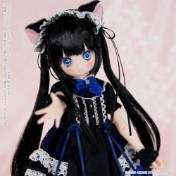 POD056-MGK からふるDreamin’／めばえ ～A Gift from M．K．～（黒猫ver．）