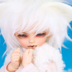 FOF Fox Goon_The Little Prince FOF Fox Goon_The Little Prince