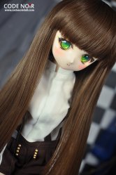 CLW000140 Brown