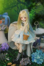 MDD-15 SET Alice