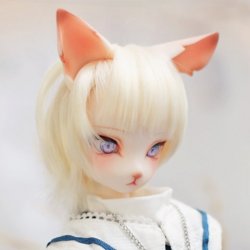 Don - Star Gazer